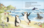 Preview: Pinguine in der Sushi-Bar